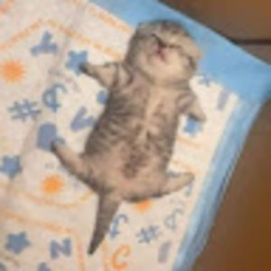 Meet your Posher, Kyla